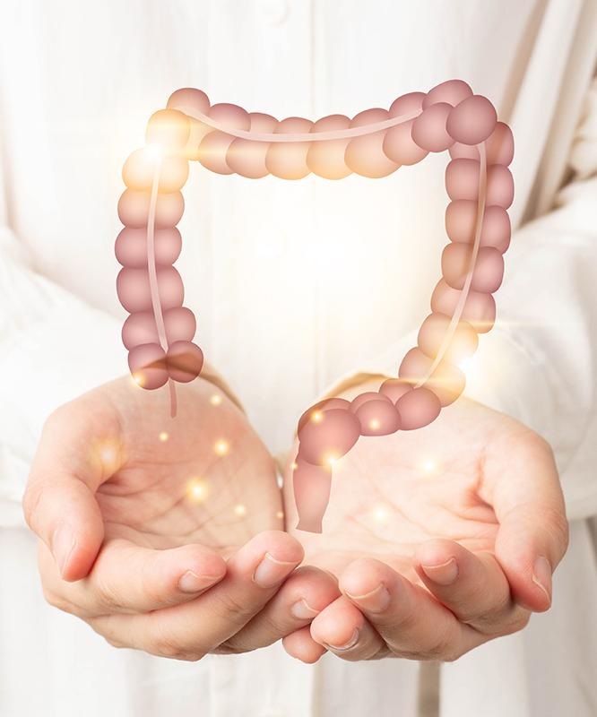 A woman doctor holds a graphic of the colorectal system