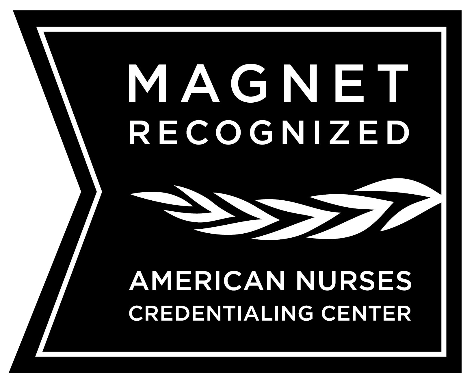 45 Top Ancc magnet recognition program designation Trend in 2022